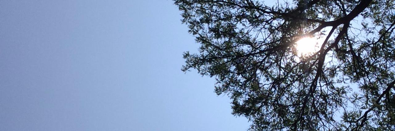 justine_elyse's profile banner image