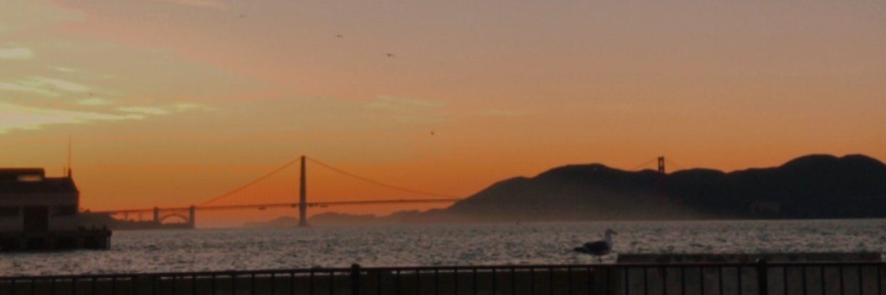 michellehtr's profile banner image