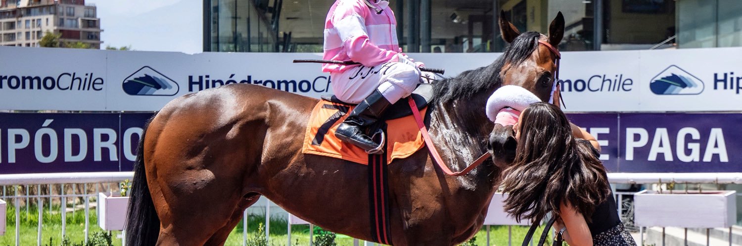 cote_molina's profile banner image