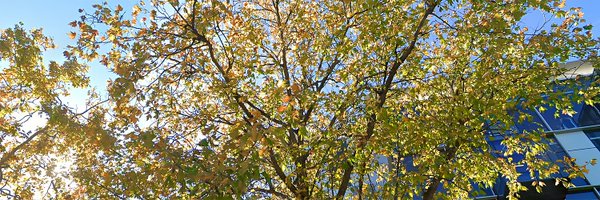 UBC_IMH Profile Banner