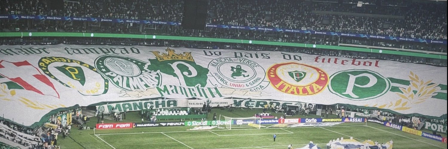 ESTEVÃO M1L GRAU ⓟ 🇳🇬🦜's banner