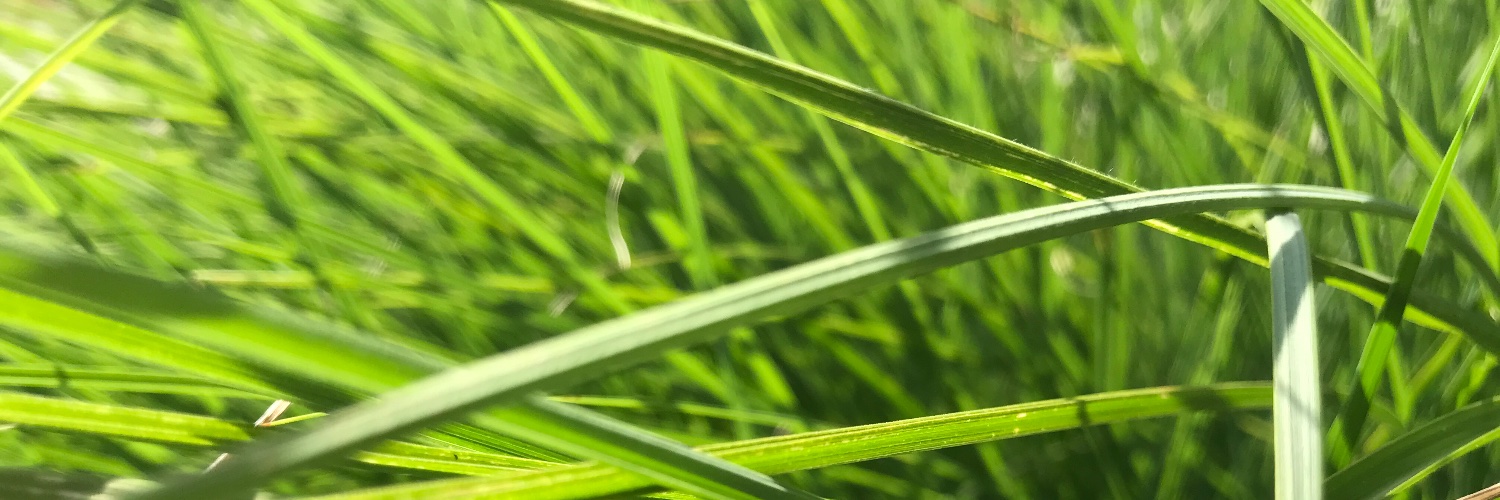 littleclay's profile banner image