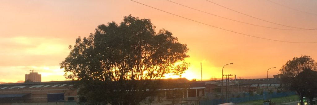 danielateamargo's profile banner image