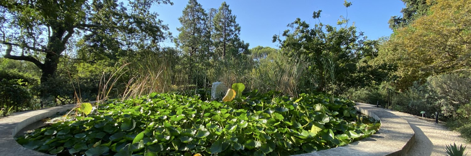 セルヴォラン banner