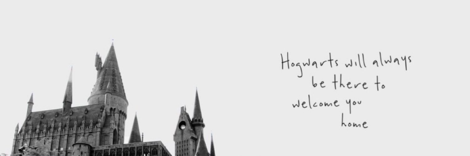 ny.zy banner