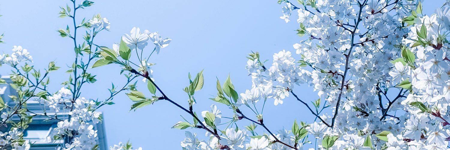 最爱吃泡芙 banner