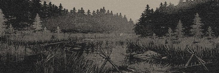 ᅠᅠᅠᅠᅠᅠ 𝕭𝑶𝒀 ᅟ𝑾꩜𝙉𝘿𝑬𝑹 .ᐟᅠᅠᅠᅠᅠᅠ banner