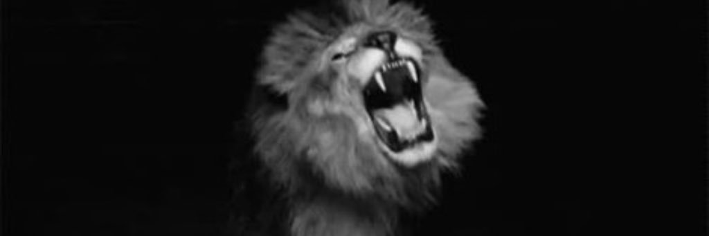 ferchoeto's profile banner image