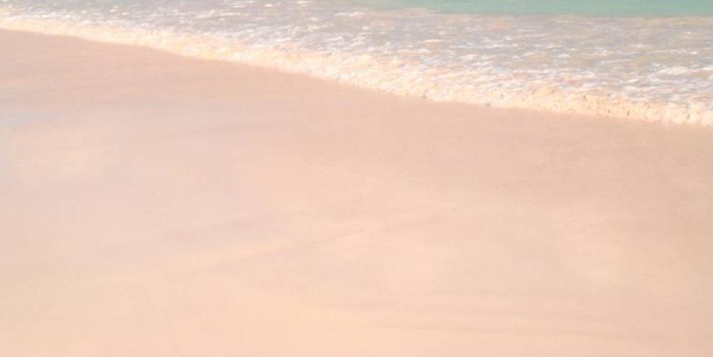 RoxLamus's profile banner image