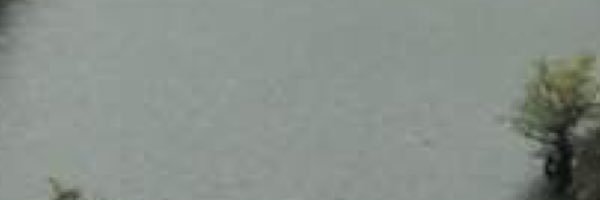 protachira78's profile banner image