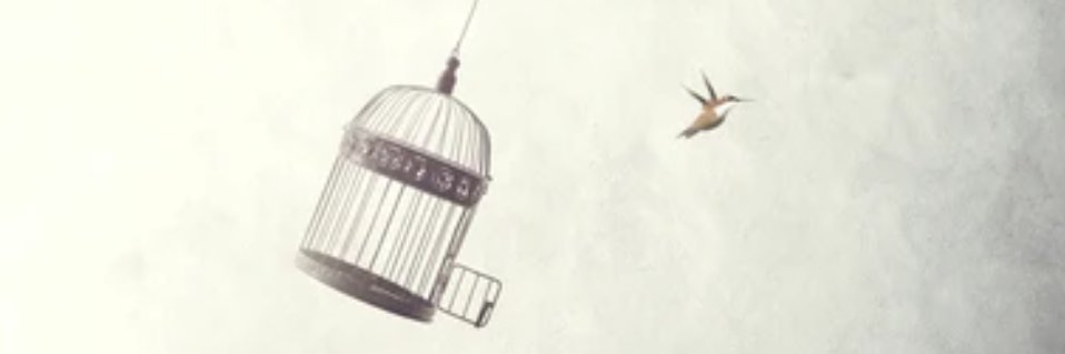 paulitamelina's profile banner image