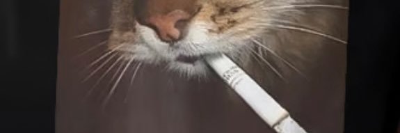 Fifib762's profile banner image