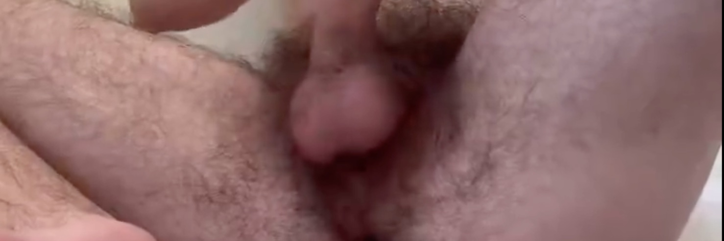 stinksavant's profile banner image