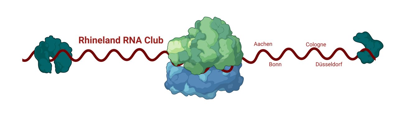 Rhineland RNA Club's banner