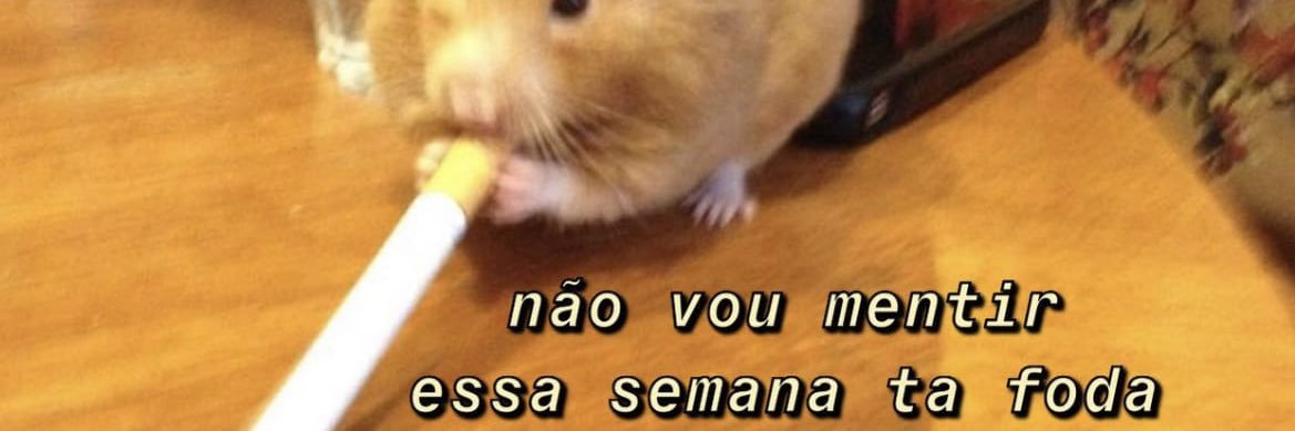 vaiwinner's profile banner image