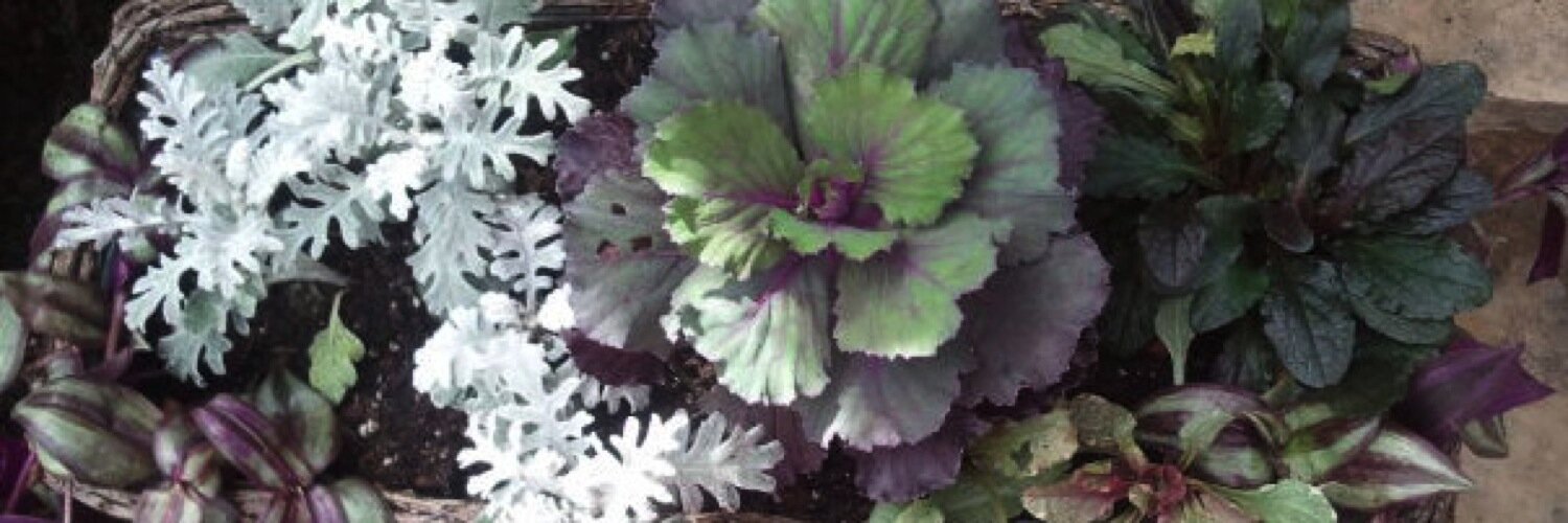 LesleyLandis's profile banner image