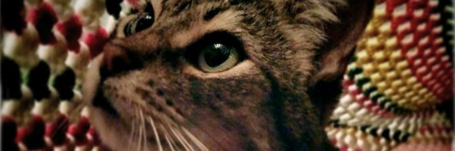 expired_data's profile banner image