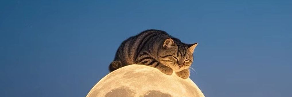 katerpillarrrr ~ (^◔ᴥ◔^)🇻🇳 banner