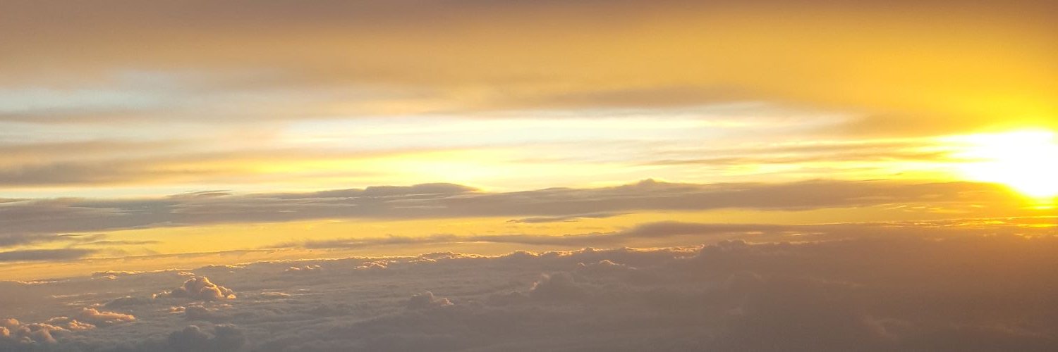 bayewilson's profile banner image