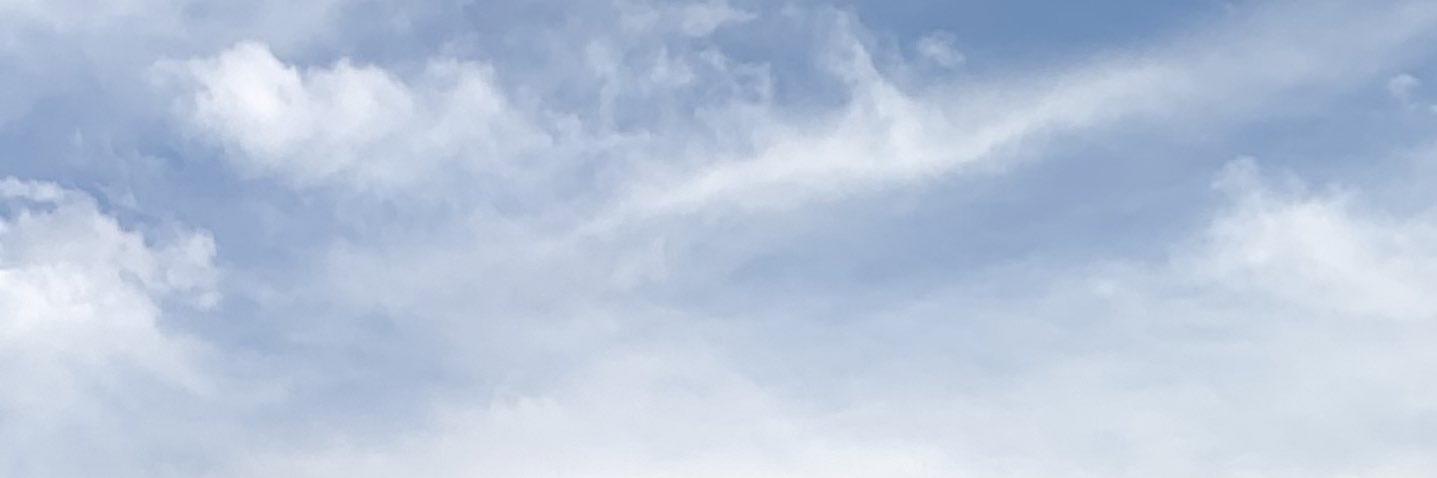 ワ‼️'s banner