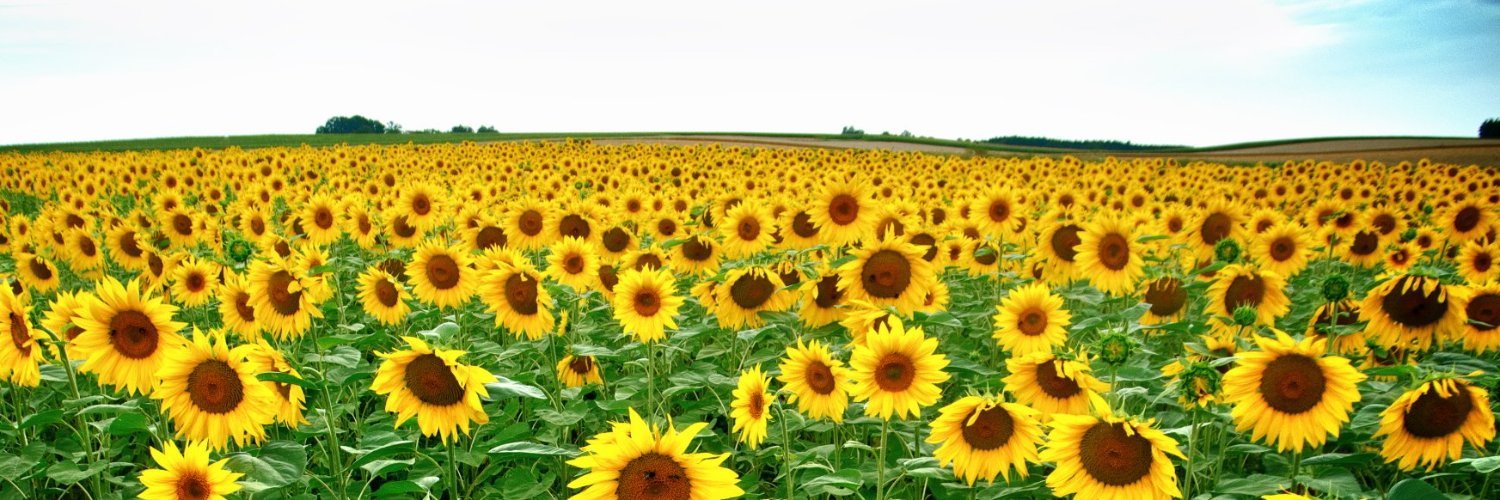 btc_eth_gold's profile banner image