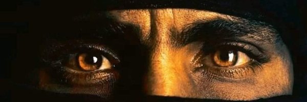 Bhga880e Profile Banner