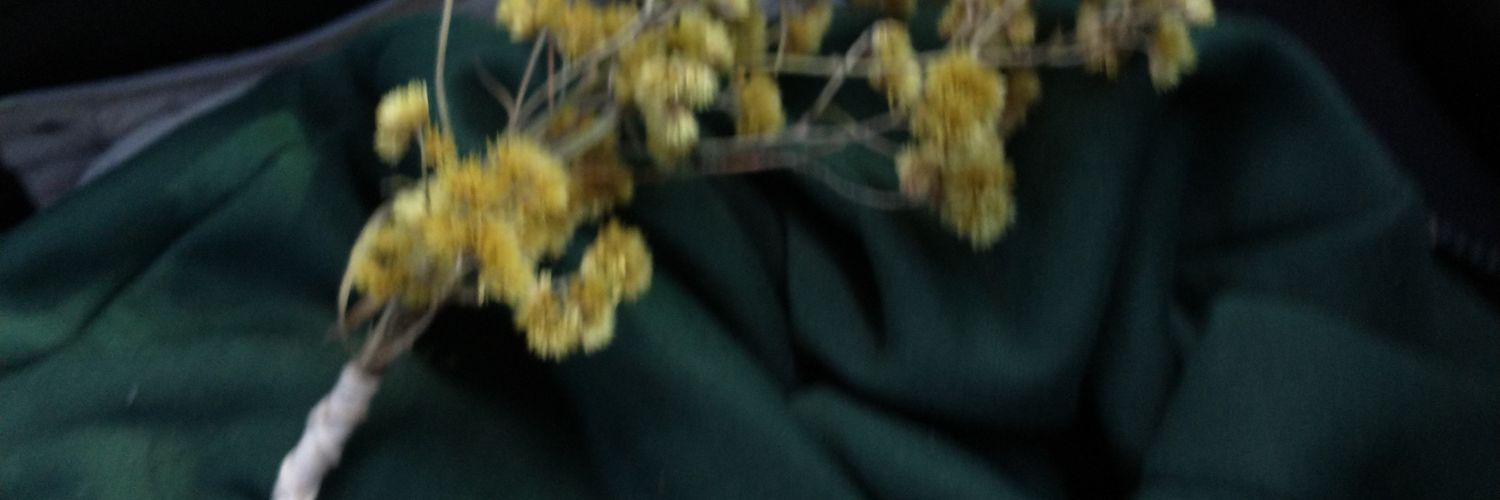 Miorshmallow's profile banner image