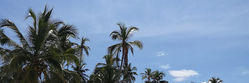 Toscoblanco's profile banner image