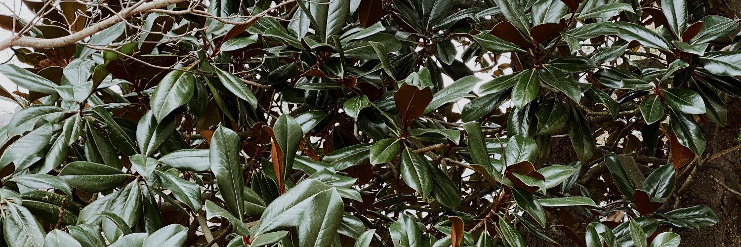 The Gallery Pass banner