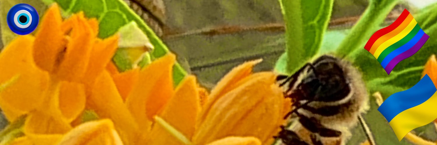 anamariesobe's profile banner image