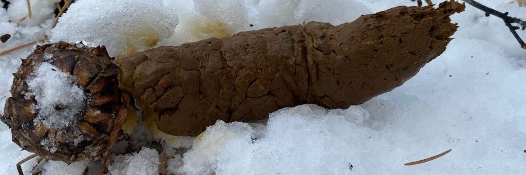 bently_dick's profile banner image