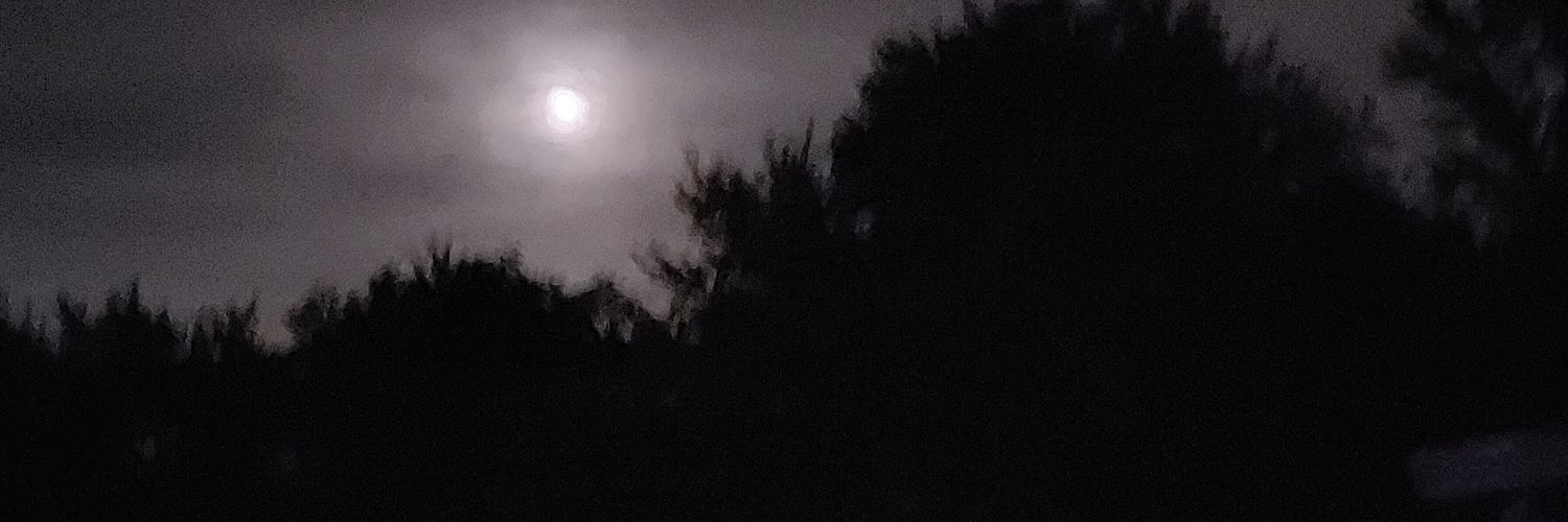 silent_sirens's profile banner image