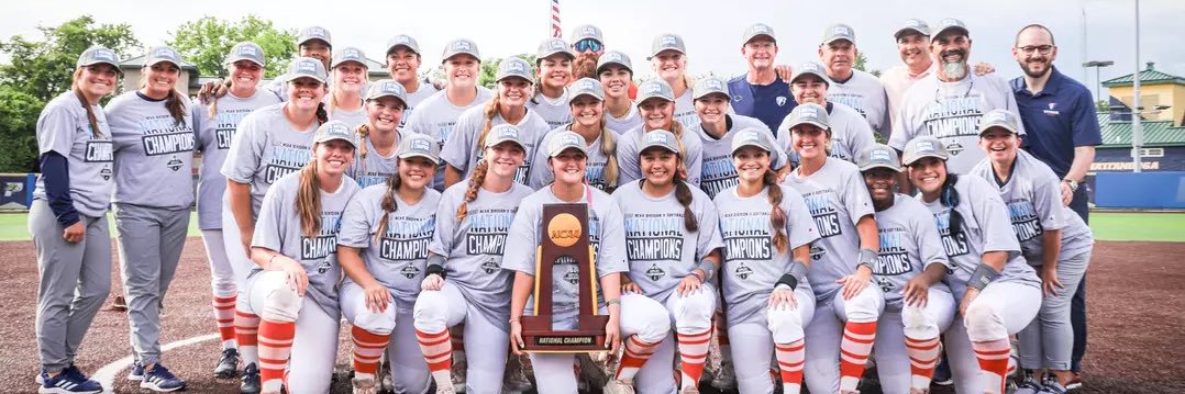 Division II Softball banner