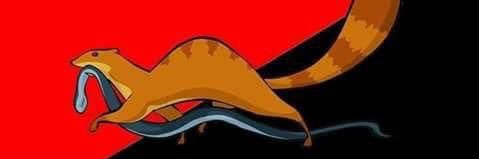 TIWaggoner's profile banner image