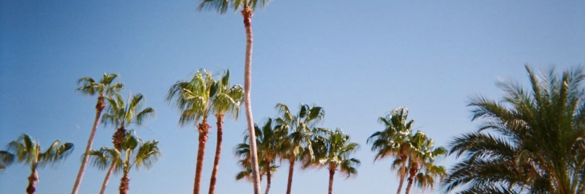 Elle 🌿🍵 banner