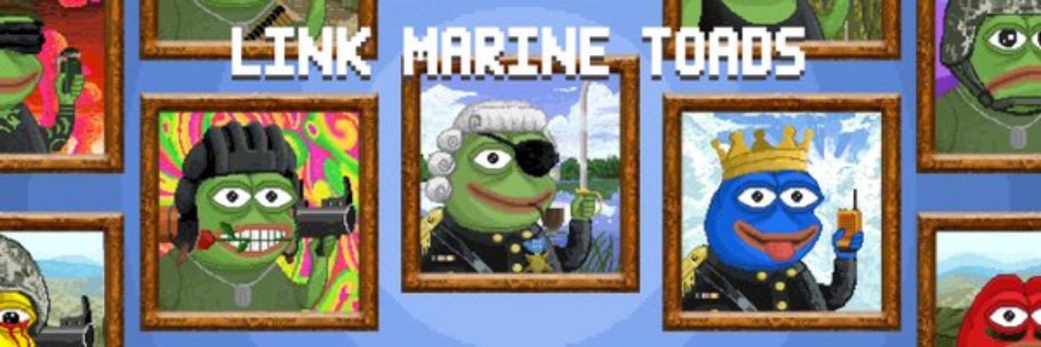 The Link Marine TOADs banner