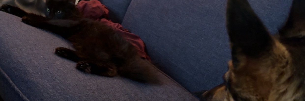 breck_spam's profile banner image
