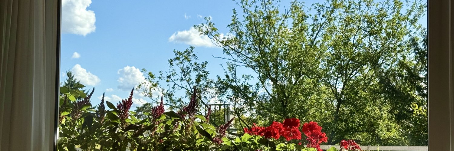 🇮🇷 بوخفسکی | به یاد مونا اسمی banner