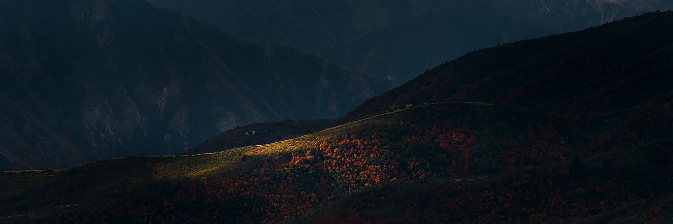 TZRollins's profile banner image