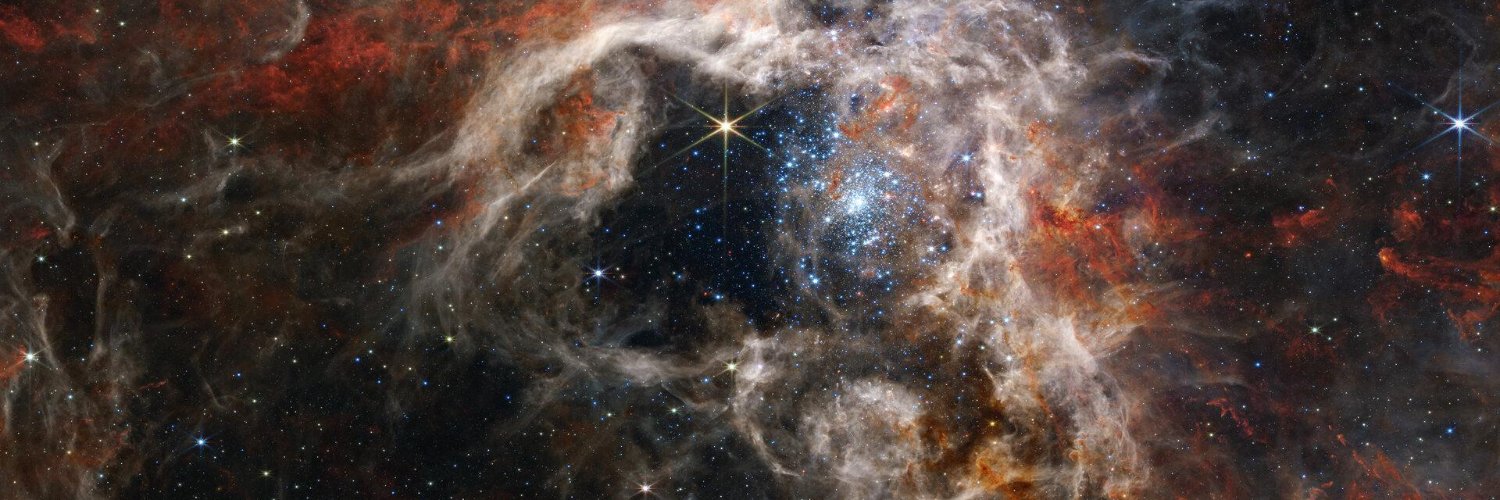 Dennis Kittrell ⚡ banner
