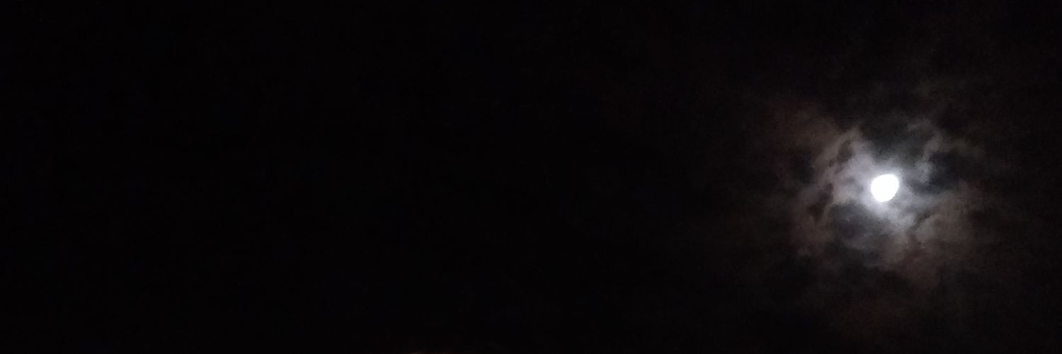 dev_meghraj's profile banner image