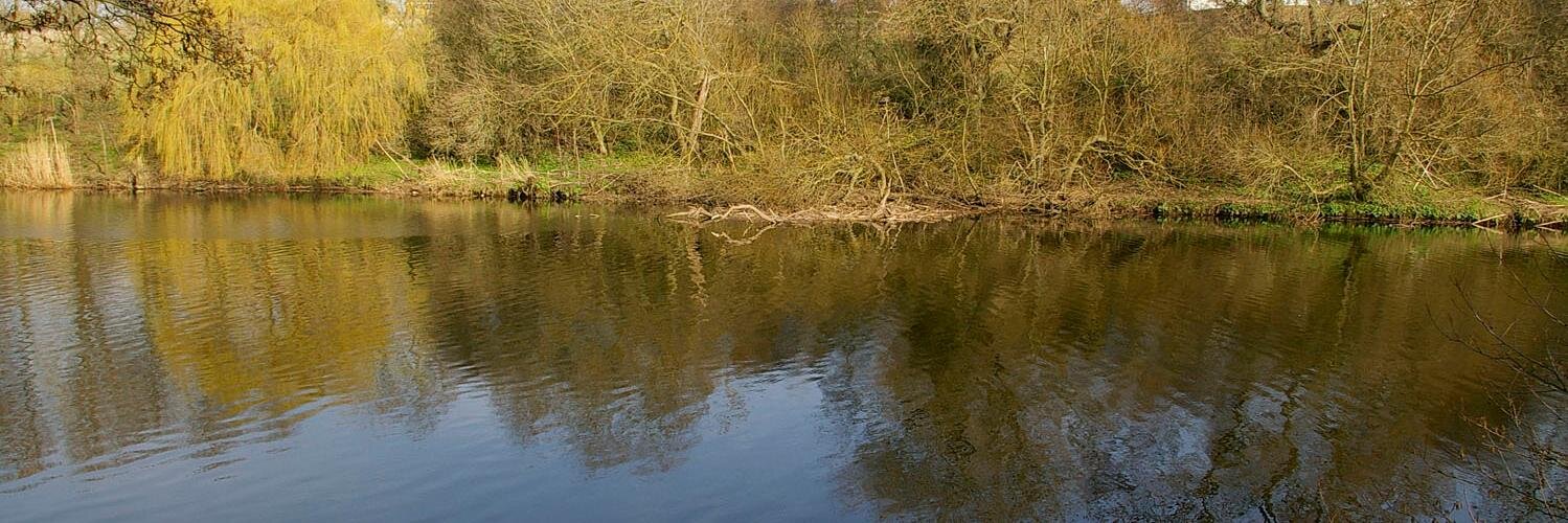 Eaglescliffe's profile banner image