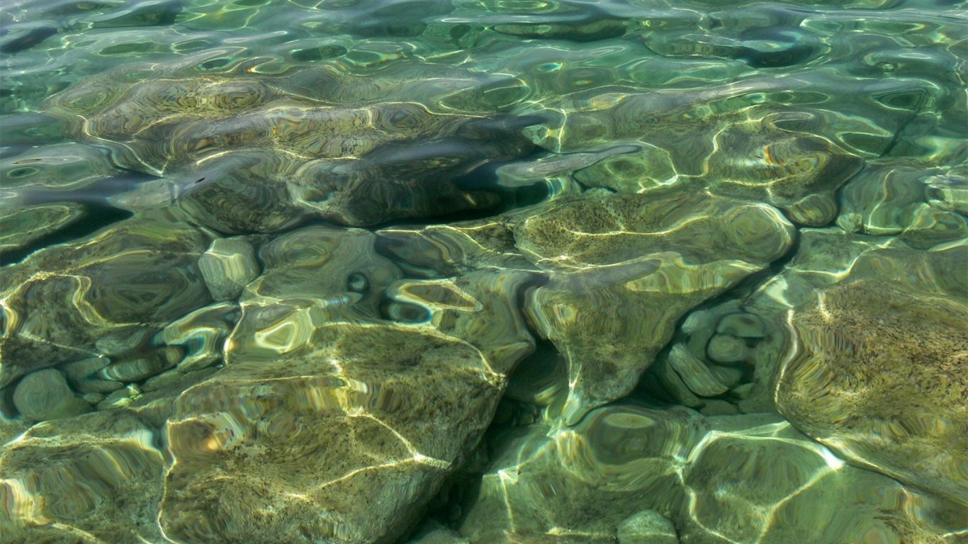 TarkeyMeling Tabi 🟧 banner