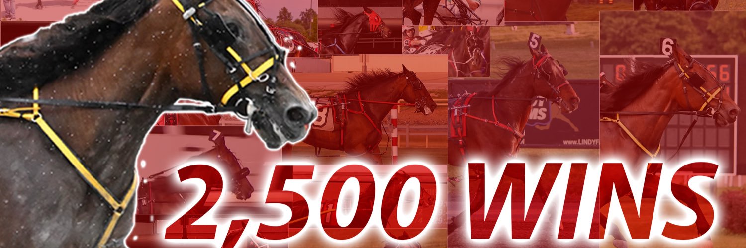 VIP Stable banner