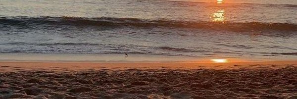 iMarkKingsley Profile Banner