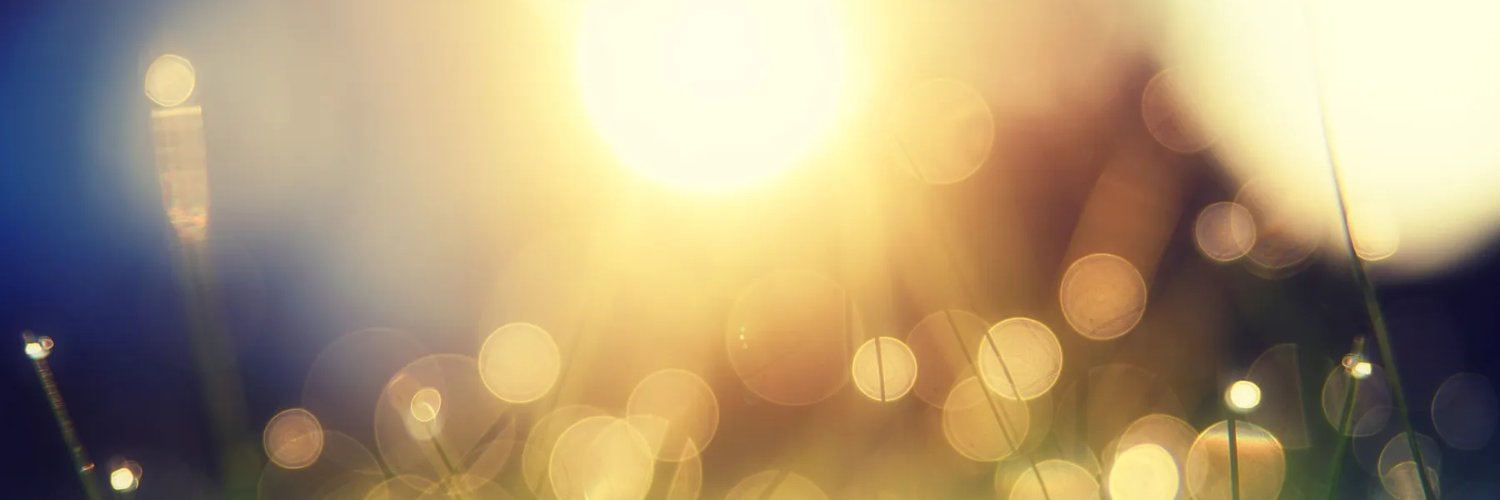 mail_de_labo's profile banner image