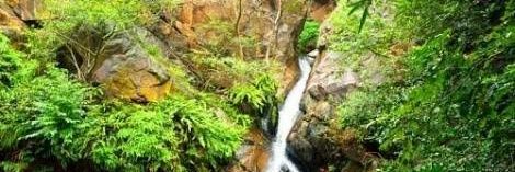 Laasya Shekhar banner