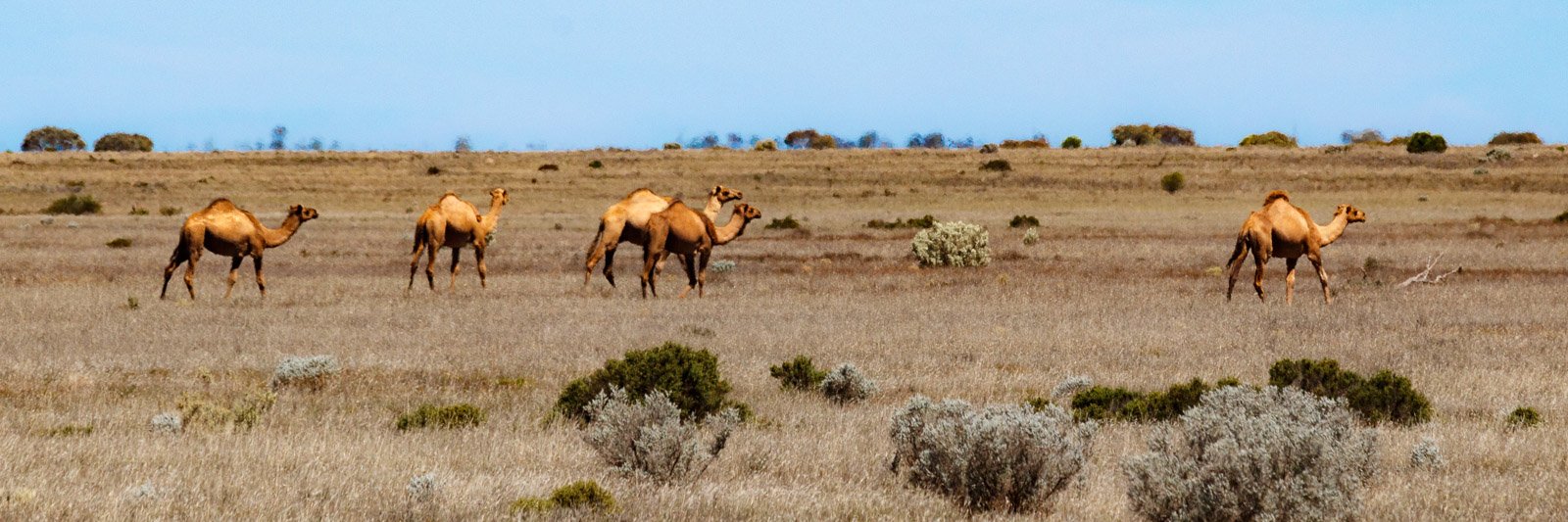 𝚟𝚒𝚌𝚔𝚒 banner