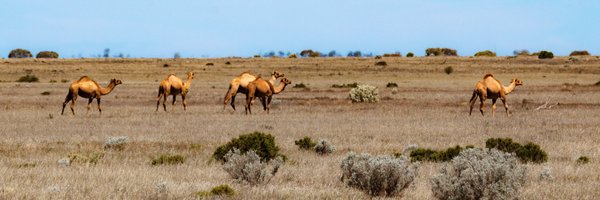 mate Profile Banner