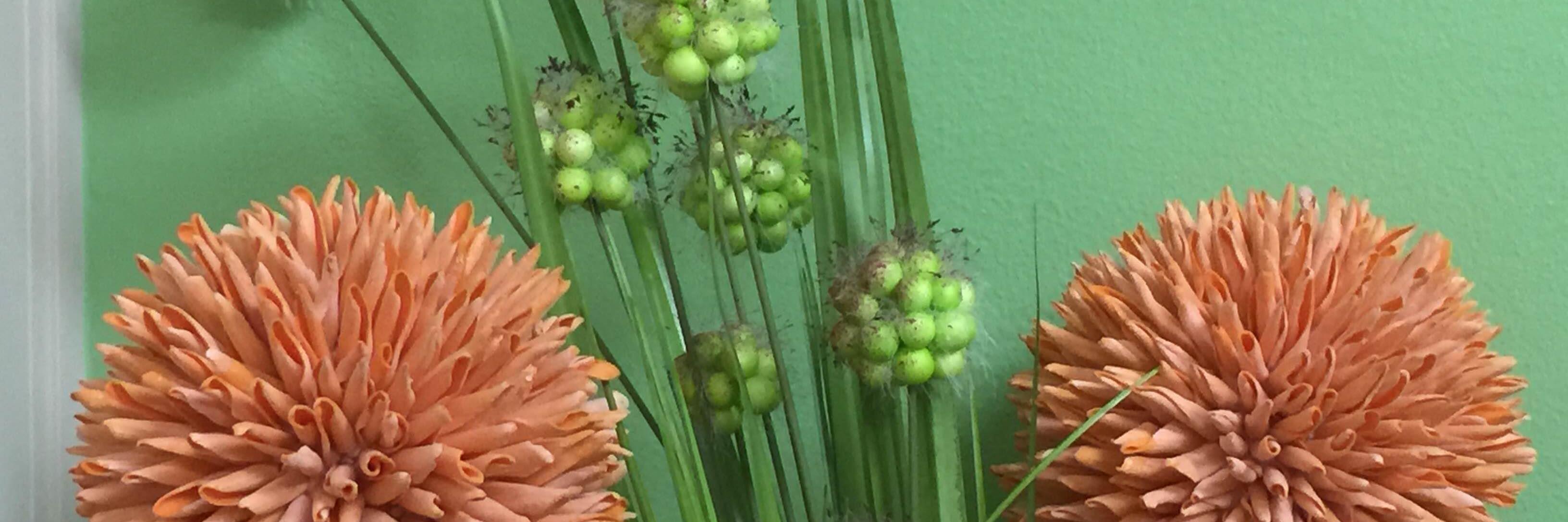 Karen Walmsley banner